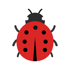 A red bug with black spots and legs